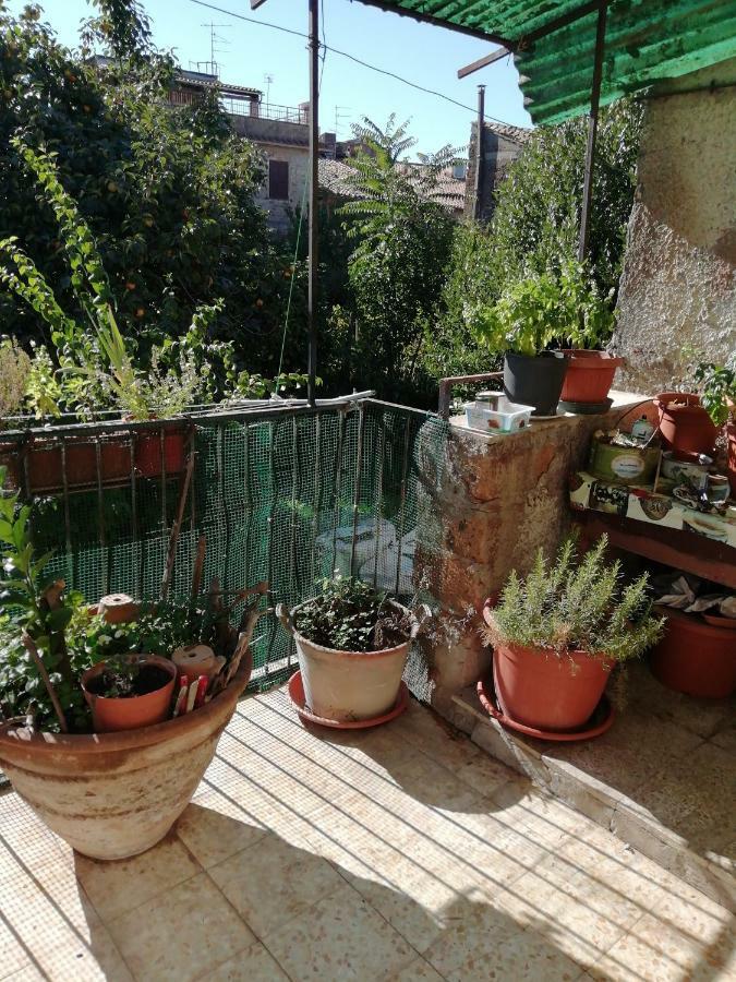 Apartmán Relax Dal Caos Di Citta Barbarano Romano Exteriér fotografie